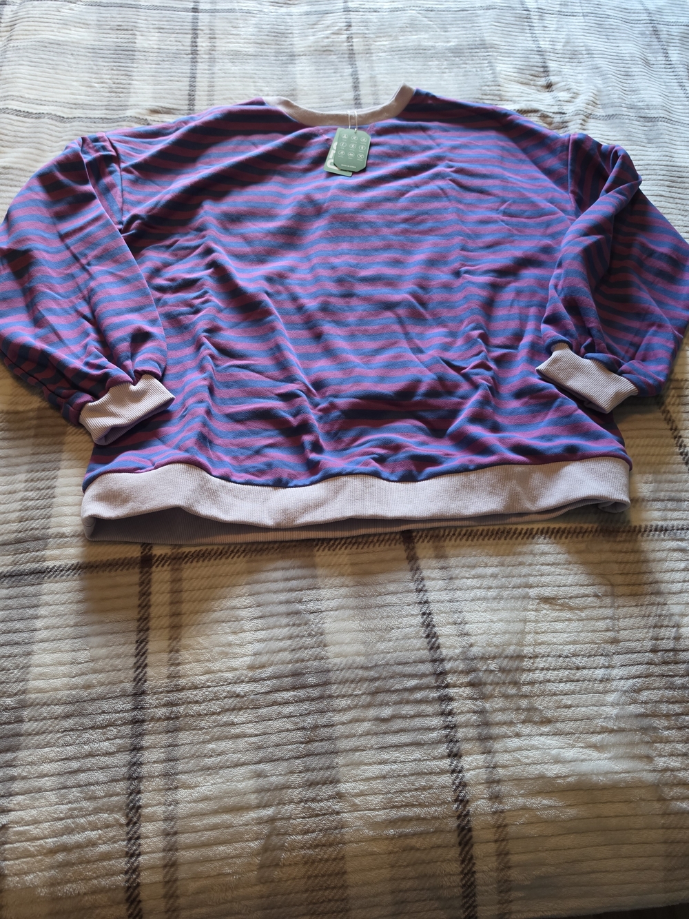 Striped Crew Neck Sweater in Purple and Blue